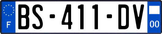 BS-411-DV