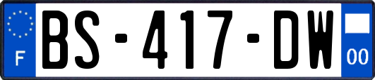 BS-417-DW