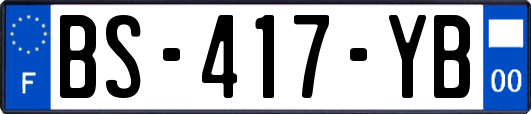 BS-417-YB