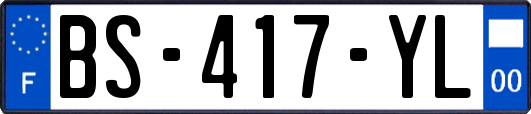 BS-417-YL