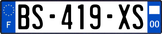 BS-419-XS