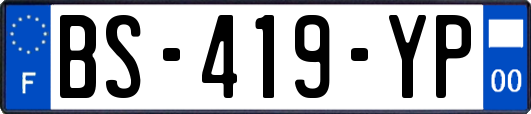 BS-419-YP