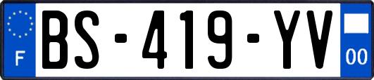 BS-419-YV
