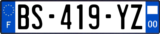 BS-419-YZ