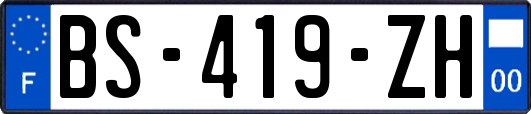 BS-419-ZH
