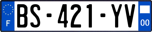 BS-421-YV