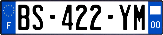 BS-422-YM