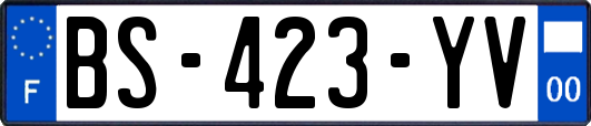 BS-423-YV