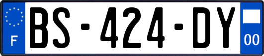 BS-424-DY