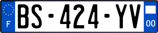 BS-424-YV