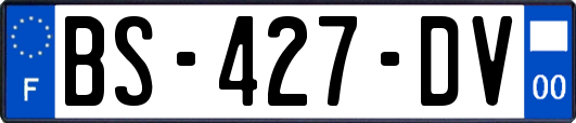 BS-427-DV