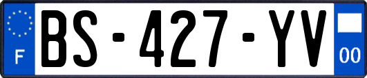 BS-427-YV