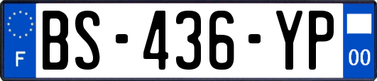 BS-436-YP