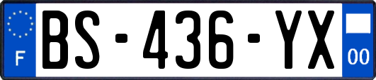 BS-436-YX