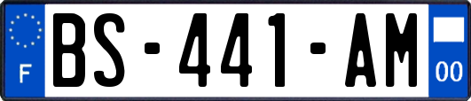 BS-441-AM