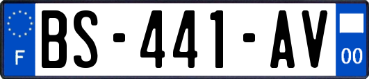 BS-441-AV