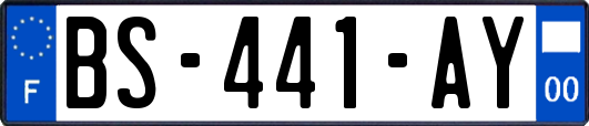 BS-441-AY
