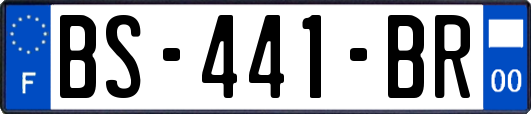 BS-441-BR