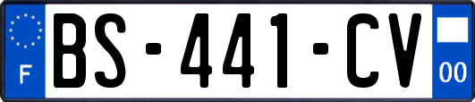 BS-441-CV