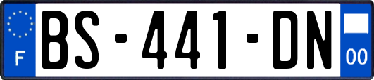 BS-441-DN