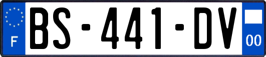 BS-441-DV