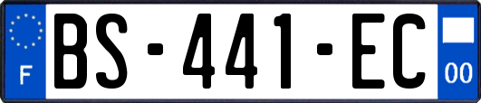 BS-441-EC