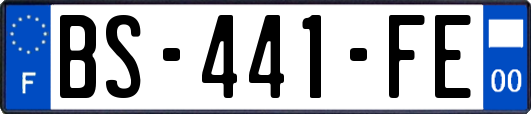 BS-441-FE