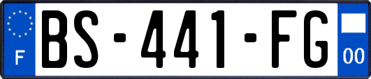 BS-441-FG