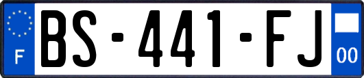 BS-441-FJ
