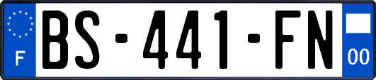 BS-441-FN