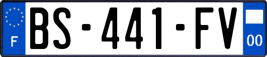 BS-441-FV