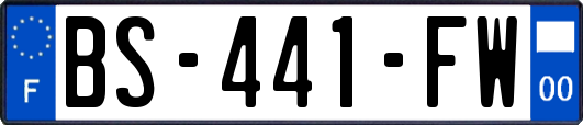 BS-441-FW