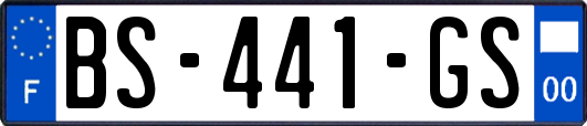 BS-441-GS