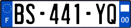 BS-441-YQ