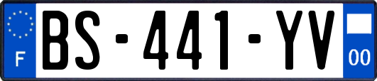 BS-441-YV