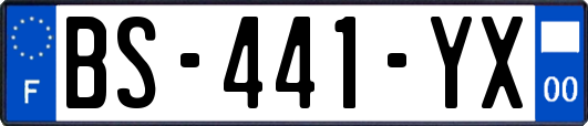 BS-441-YX