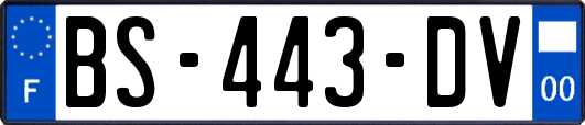 BS-443-DV