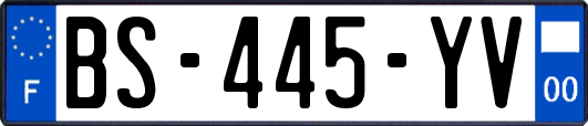 BS-445-YV