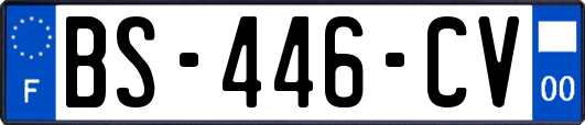 BS-446-CV