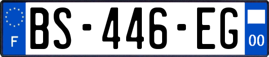 BS-446-EG