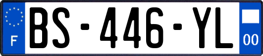 BS-446-YL