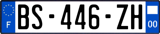 BS-446-ZH