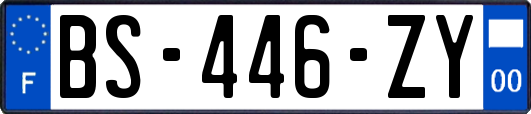 BS-446-ZY