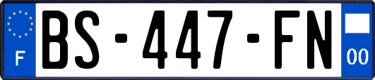 BS-447-FN
