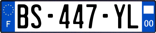 BS-447-YL