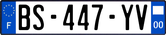 BS-447-YV