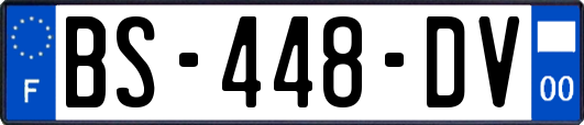 BS-448-DV