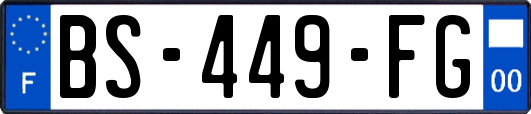 BS-449-FG