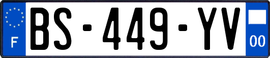 BS-449-YV