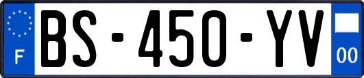 BS-450-YV
